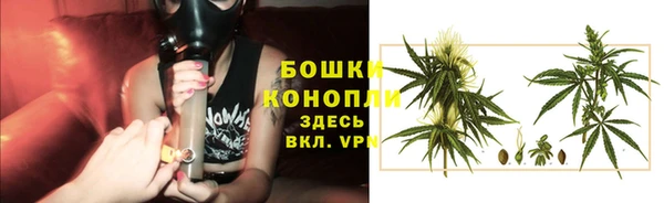 тгк Осинники